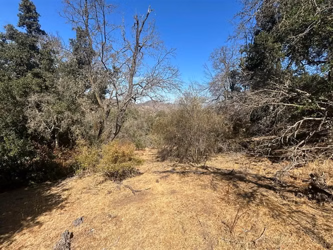 Sitio en Venta en Curacaví