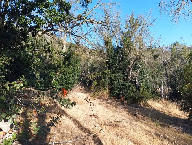 Sitio en Venta en Curacaví