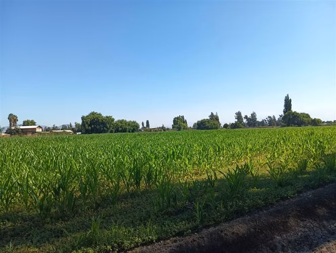 Sitio en venta en Pudahuel