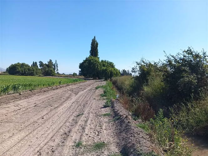 Agrícola en expasión 139.000 mts2. Venta en Pudahuel