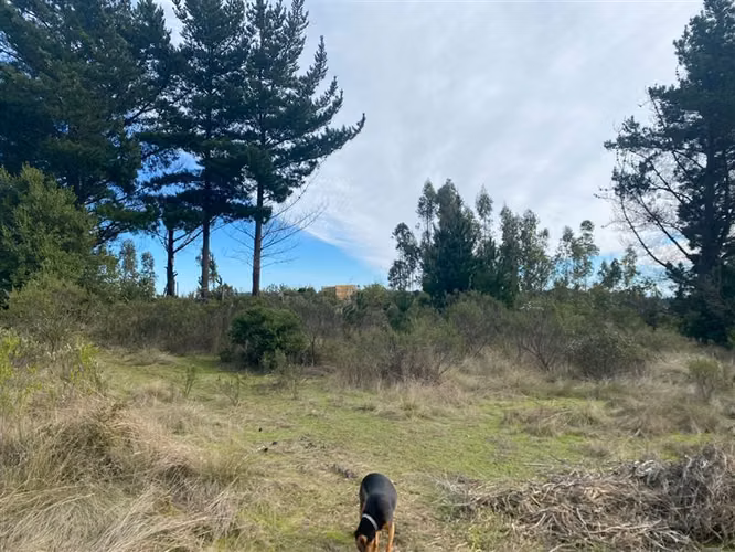 Parcela en venta en Pupuya - Imagen 7