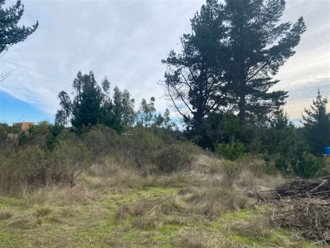 Parcela en venta en Pupuya - Imagen 9