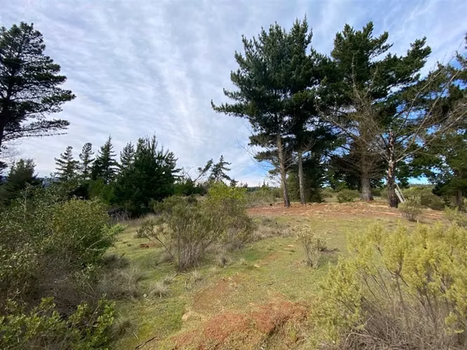 Parcela en venta en Pupuya - Imagen 3