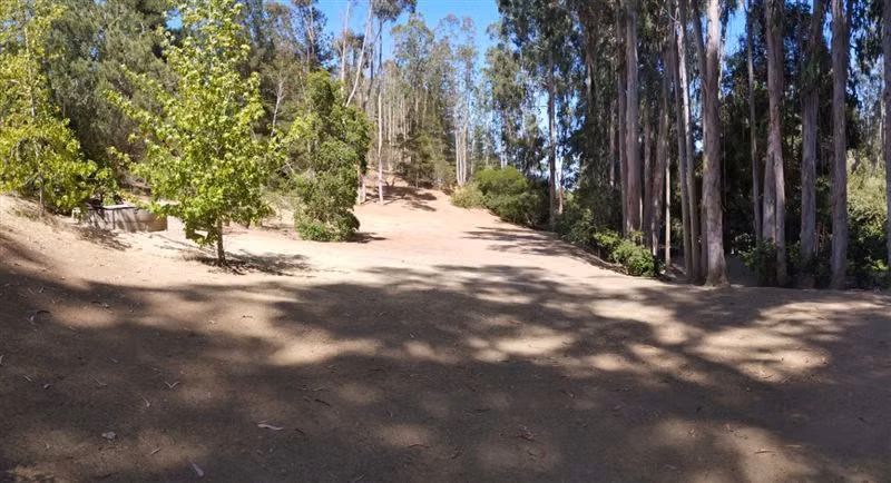 Agrícola en venta de 38.415 mts2 en Algarrobo