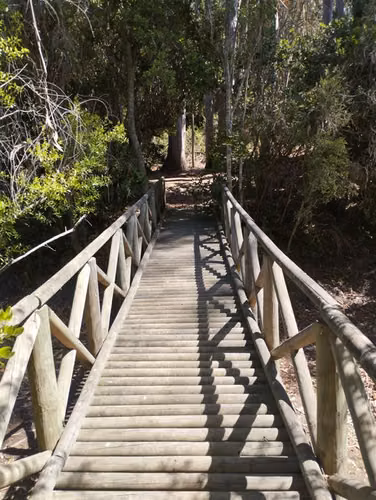 Agrícola en venta de 38.415 mts2 en Algarrobo