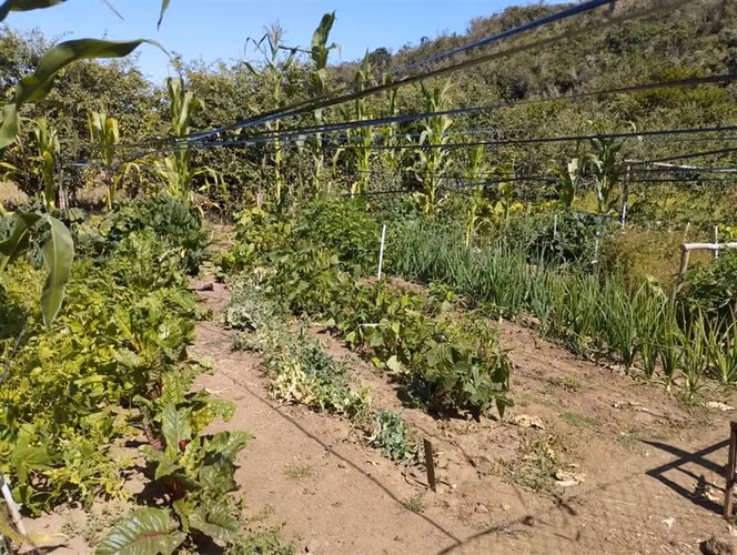 Agrícola en venta de 38.415 mts2 en Algarrobo