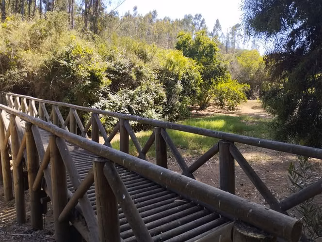 Parcela en venta de 38.415 mts2 en Algarrobo