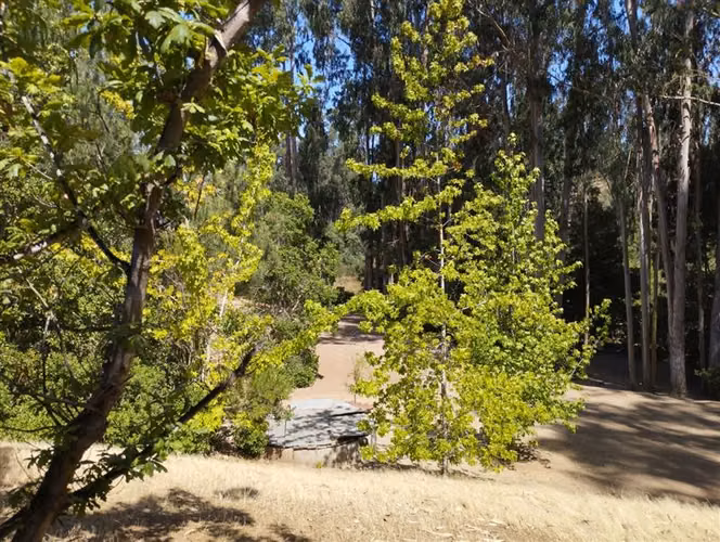 Parcela en venta de 38.415 mts2 en Algarrobo