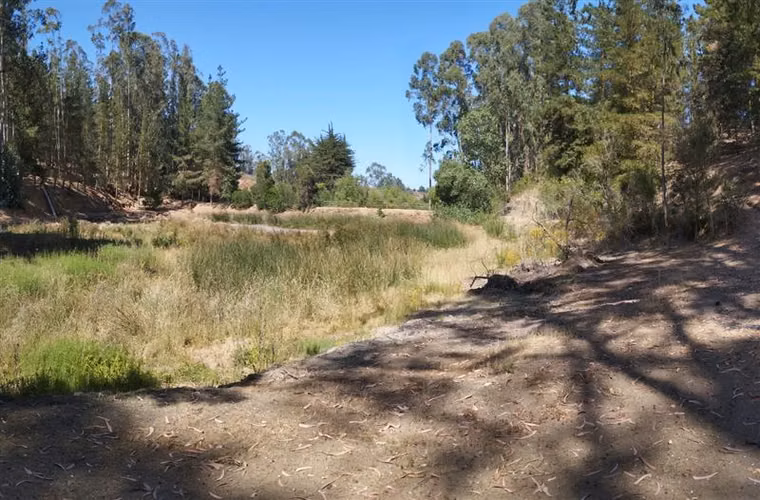 Parcela en venta de 38.415 mts2 en Algarrobo