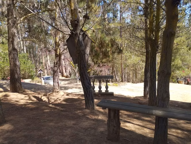 Parcela en venta de 38.415 mts2 en Algarrobo