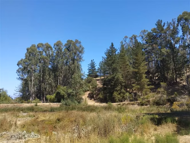 Casa en venta de 38.415 mts2 en Algarrobo