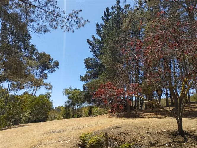 Casa en venta de 38.415 mts2 en Algarrobo