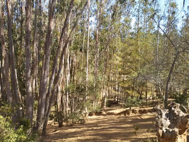 Casa en venta de 38.415 mts2 en Algarrobo