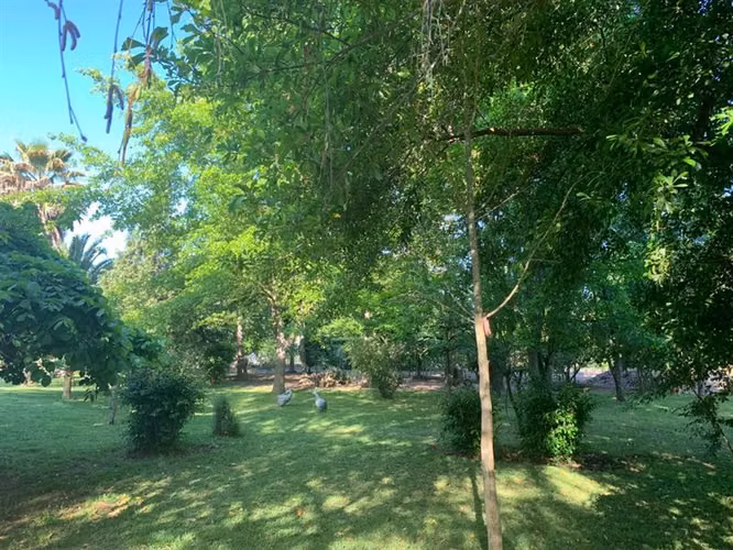 Parcela en Venta en Romeral