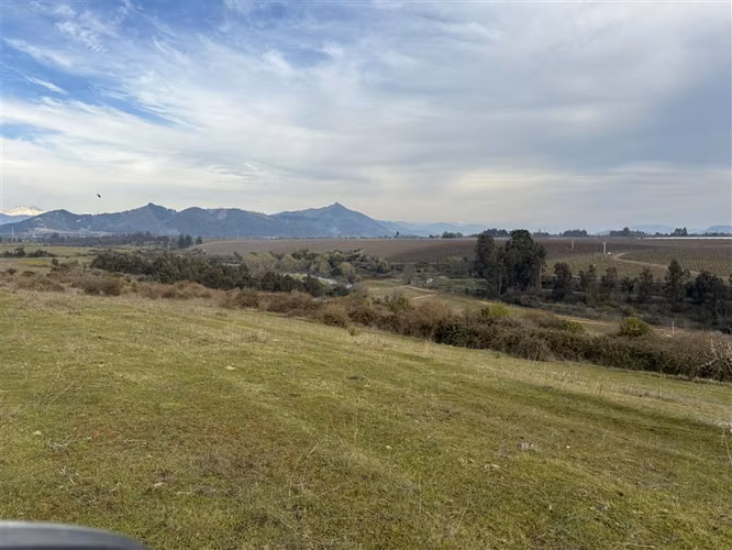Rebajado Vende campo 64 hás Rio Claro región del Maule