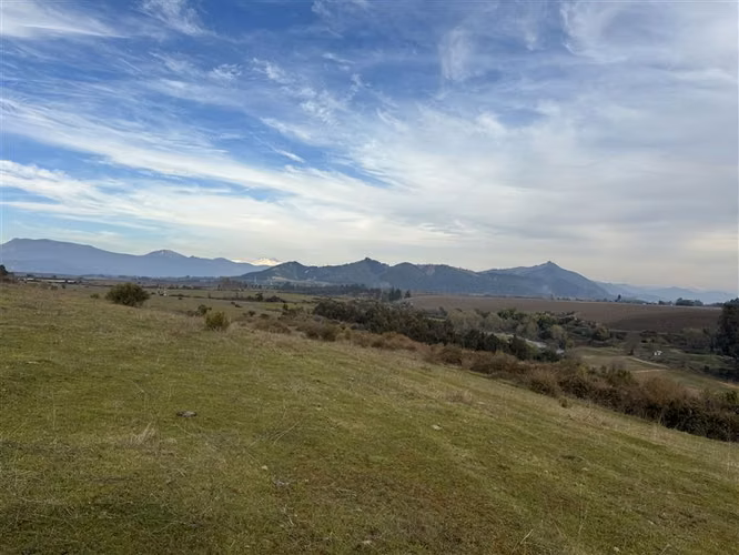 Rebajado Vende campo 64 hás Rio Claro región del Maule