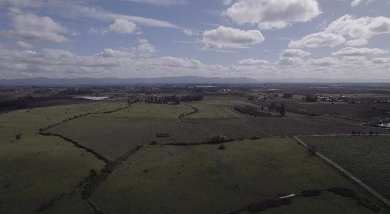 Rebajado Vende campo frutícola 127 hás Región del Maule