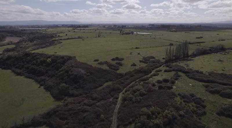 Rebajado Vende campo frutícola 127 hás Región del Maule
