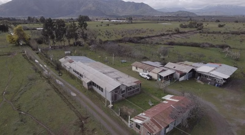 Rebajado Vende campo frutícola 127 hás Región del Maule