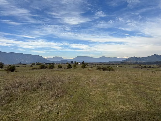 Rebajado Vende campo frutícola 127 hás Región del Maule