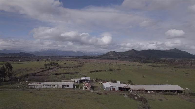 Rebajado Vende campo frutícola 127 hás Región del Maule