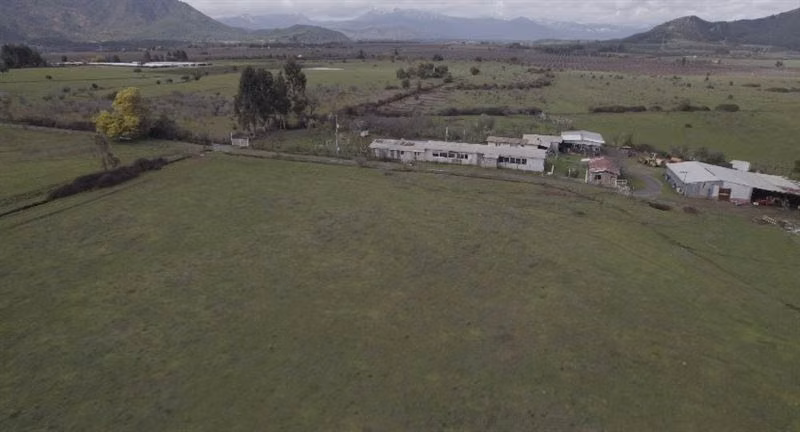 Rebajado Vende campo frutícola 127 hás Región del Maule
