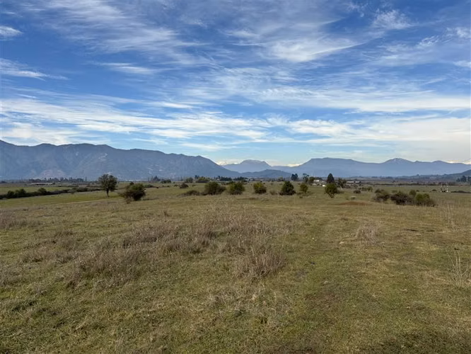 Rebajado Vende campo frutícola 127 hás Región del Maule