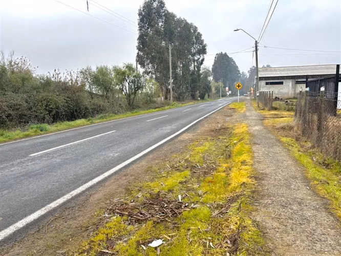 Vende agroparcela de 8300m2 en san Clemente, sector Maitenes