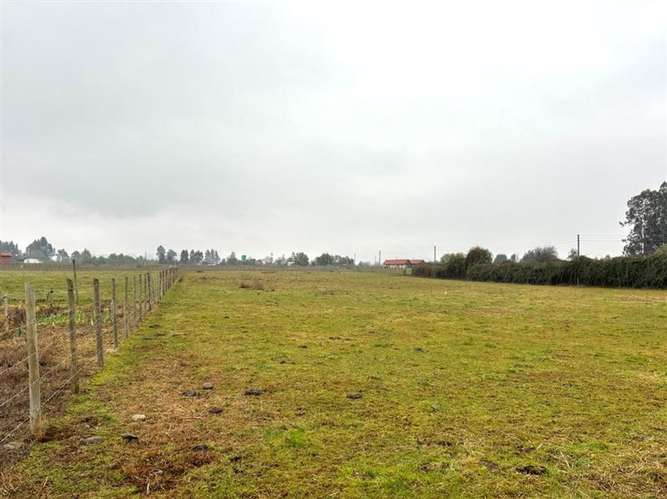 Vende agroparcela de 8300m2 en san Clemente, sector Maitenes
