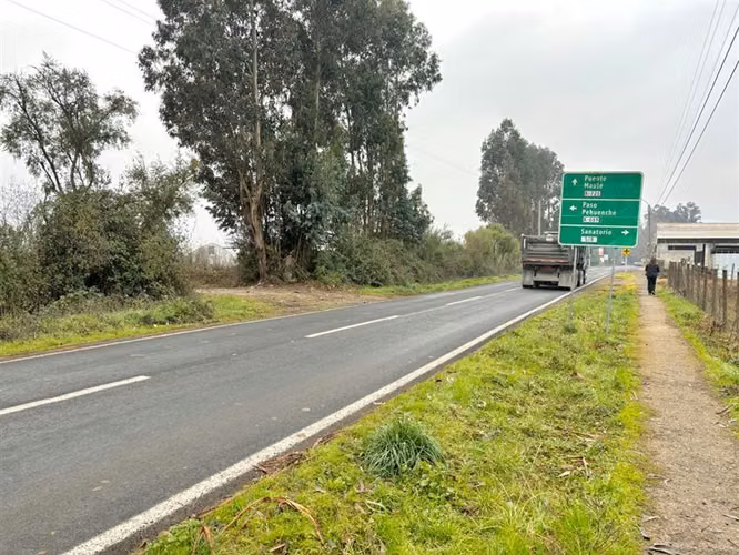 Vende agroparcela de 8300m2 en san Clemente, sector Maitenes
