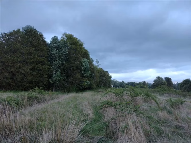 Parcela en venta en Villarrica
