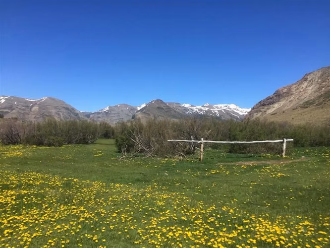 Vende 19000 hás Reg. BioBio - forestal, ganadero, energético