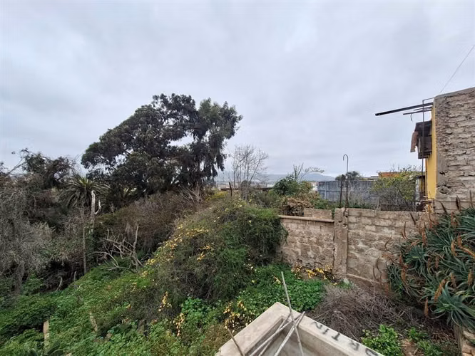 Sitio en Venta en centro de La Serena (precio avalúo fiscal) - Imagen 7