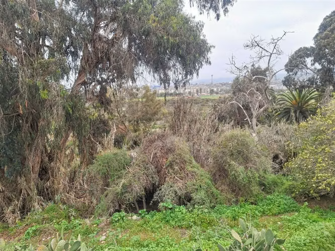 Sitio en Venta en centro de La Serena (precio avalúo fiscal) - Imagen 11