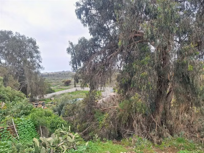 Sitio en Venta en centro de La Serena (precio avalúo fiscal) - Imagen 10