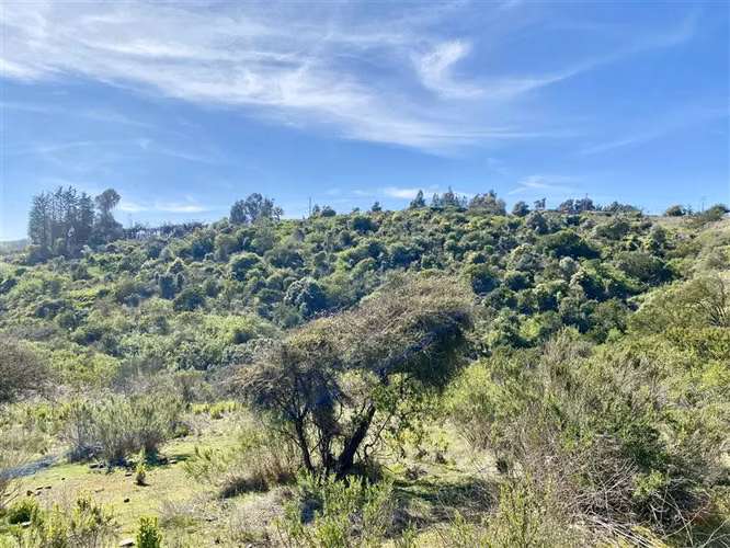 Sitio en venta en Concón. Barrio Privado Lomas del Mauco