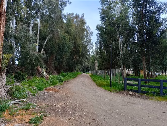 CAMINO CARAMPANGUE TALAGANTE