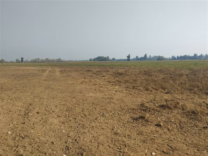 Vende 35.5 Hás San Clemente, Región Del Maule