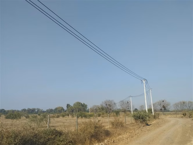 Vende 35.5 Hás San Clemente, Región Del Maule