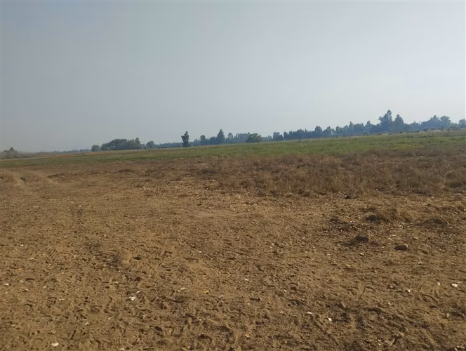 Vende 35.5 Hás San Clemente, Región Del Maule