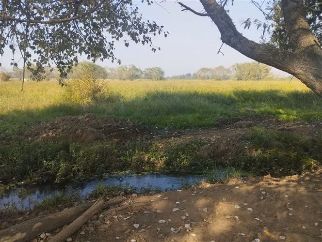 Vende 35.5 Hás San Clemente, Región Del Maule