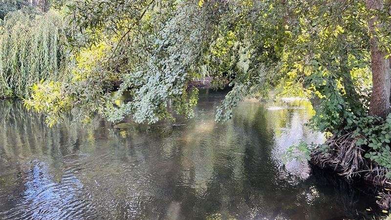 Terreno Industrial 12 has. venta orilla carret. 5Sur Angeles