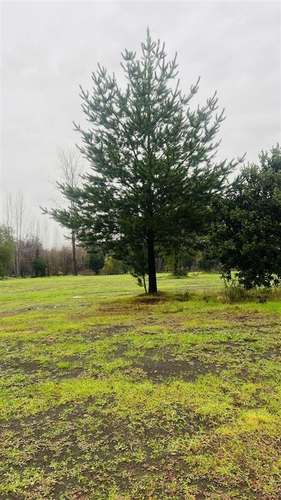 Terreno Industrial 12 has. venta orilla carret. 5Sur Angeles