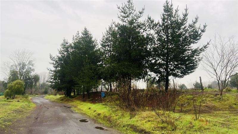 Terreno Industrial 12 has. venta orilla carret. 5Sur Angeles