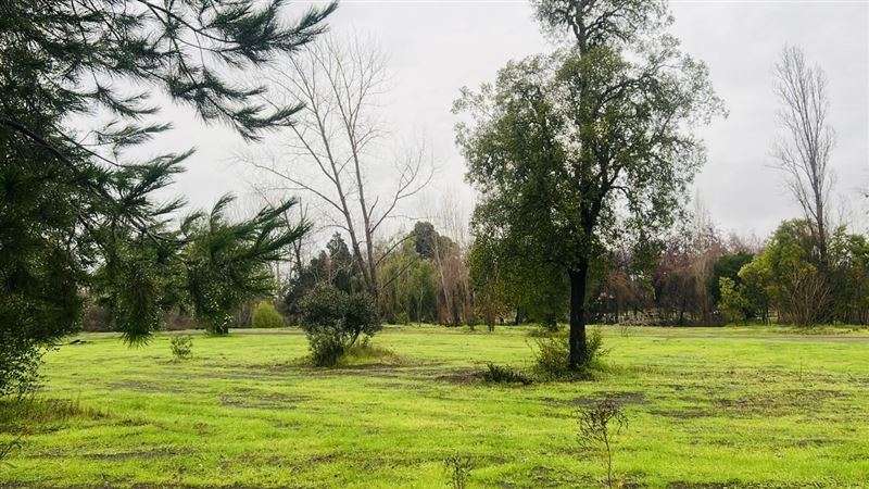 Terreno Industrial 12 has. venta orilla carret. 5Sur Angeles