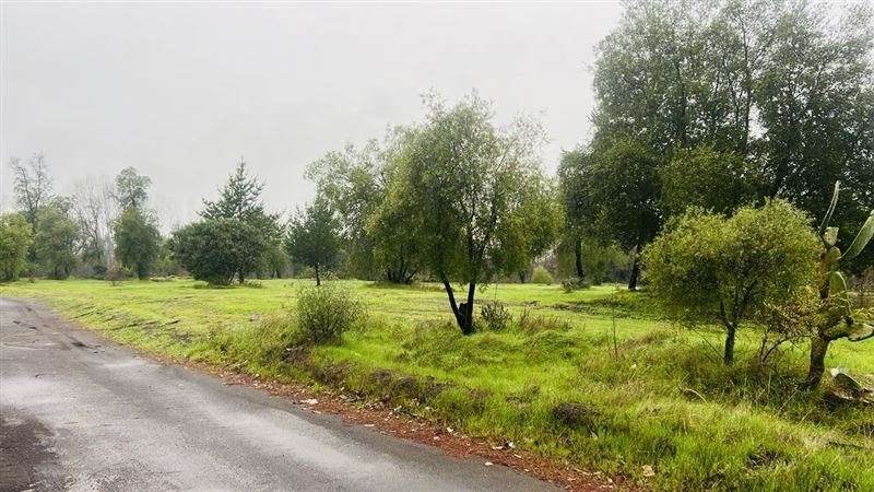 Terreno Industrial 12 has. venta orilla carret. 5Sur Angeles