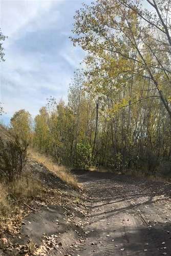 Terreno Industrial 12 has. venta orilla carret. 5Sur Angeles
