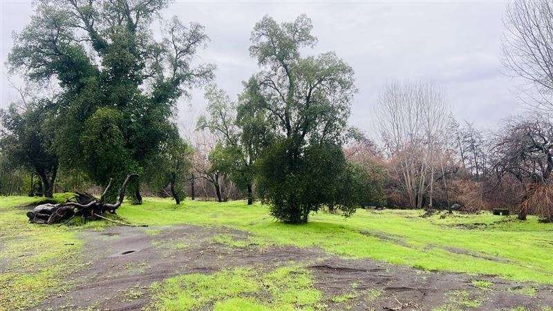 Terreno Industrial 12 has. venta orilla carret. 5Sur Angeles