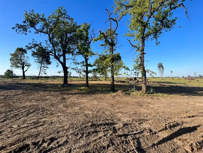 Vende 241 hás en Parral - Región del Maule - Imagen 1