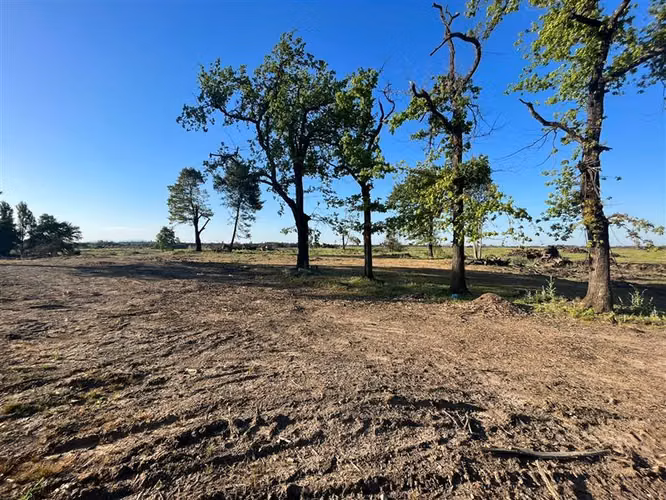 Vende 241 hás en Parral - Región del Maule